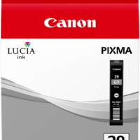 Canon PGI-29gy Grau Tintenpatrone (4871B001)